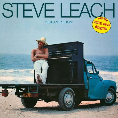 Leach,steve / Crystal Grass Orchestra · Ocean Potion (LP) (2024)