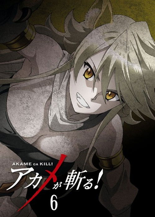 Cover for Takahiro · Akame Ga Kill! Vol.6 (MBD) [Japan Import edition] (2015)