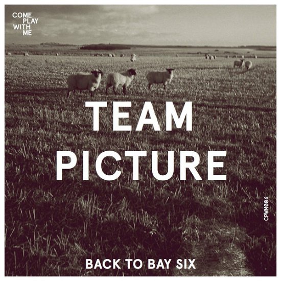Cover for Team Picture · Back To Bay Six (LP) (2017)