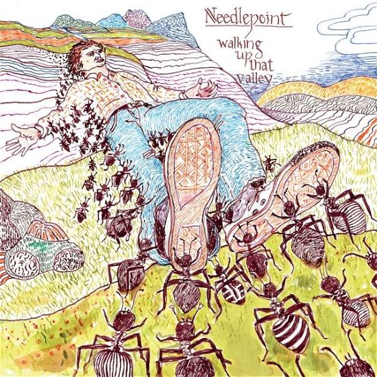Cover for Needlepoint · Walking Up That Valley (CD) (2021)
