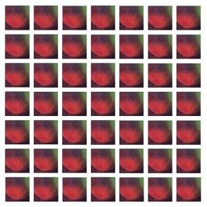 Cover for Dungen · 4 (LP) [Limited edition] (2008)