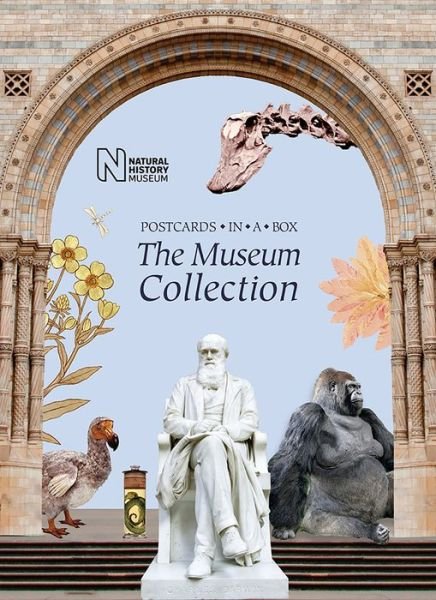 Cover for The Museum Collection: Postcards in a Box (Flashcards) (2017)