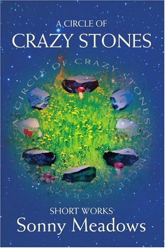 A Circle of Crazy Stones: Short Works - Kevin Bryan - Books - iUniverse, Inc. - 9780595301362 - December 8, 2003