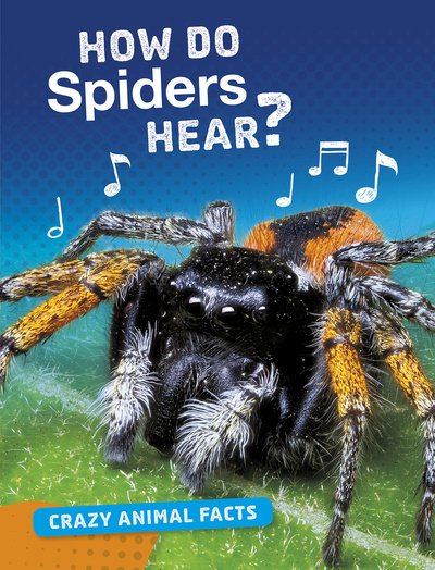 Cover for Nancy Furstinger · How Do Spiders Hear? - Crazy Animal Facts (Paperback Book) (2020)