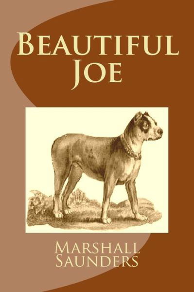 Beautiful Joe (Summit Classic Collector Editions) - Marshall Saunders - Książki - Createspace - 9781482028362 - 10 lutego 2013