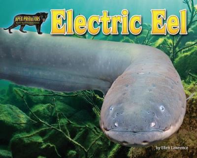 Cover for Ellen Lawrence · Electric Eel (Hardcover Book) (2017)