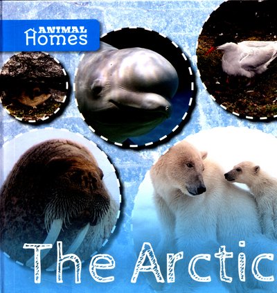 Cover for John Wood · The Arctic - Animal Homes (Gebundenes Buch) (2017)