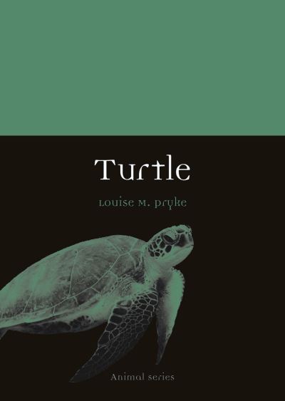 Cover for Louise M. Pryke · Turtle - Animal (Paperback Book) (2021)