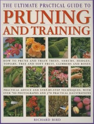Cover for Richard Bird · Pruning: Training and Topiary (Paperback Book) (2013)