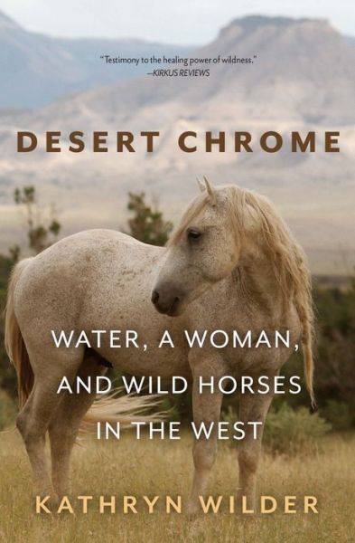 Cover for Kathryn Wilder · Desert Chrome (Book) (2021)