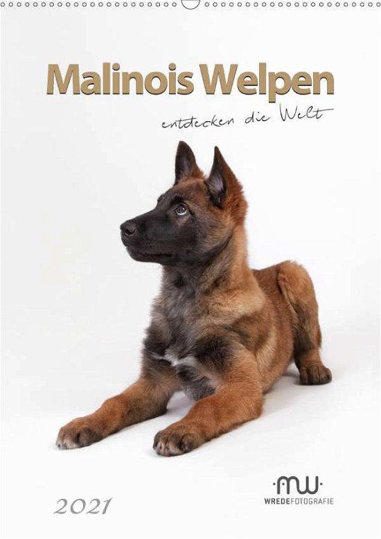 Cover for Wrede · Malinois Welpen entdecken die Wel (Book)