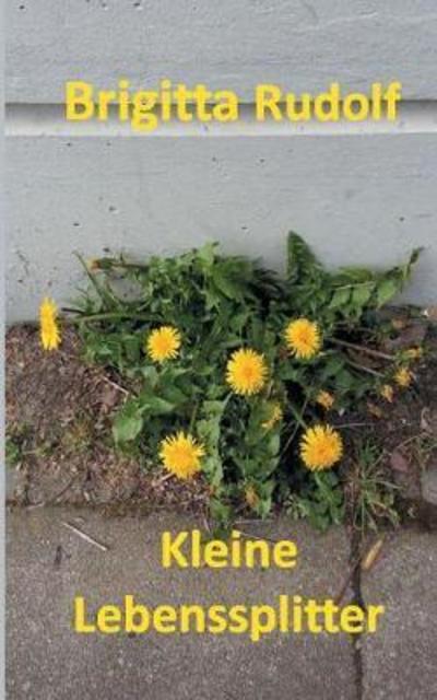 Cover for Brigitta Rudolf · Kleine Lebenssplitter (Paperback Book) (2018)