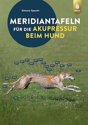Cover for Simone Specht · Meridiantafeln für die Akupressur beim Hund (Pocketbok) (2022)
