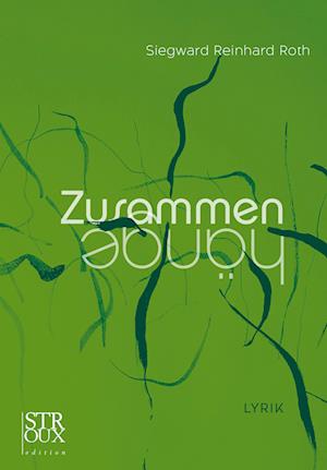 Cover for Siegward Reinhard Roth · Zusammenhänge (Buch) (2024)