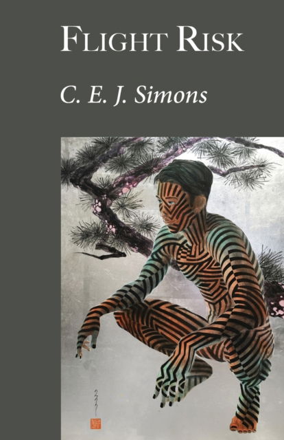 Cover for C E J Simons · Flight Risk (Paperback Book) (2021)