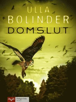 Cover for Ulla Bolinder · Domslut (Paperback Book) (2014)