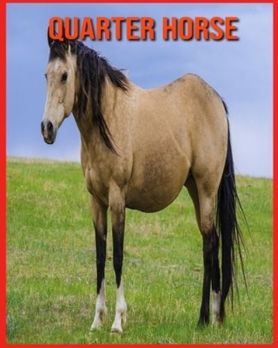 Quarter Horse: Foto stupende e fatti divertenti Libro sui Quarter Horse per bambini - Alicia Moore - Books - Independently Published - 9798714336362 - February 27, 2021