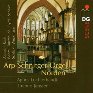 Orgelmusik, Ludgerki MDG Klassisk - Luchterhandt / Janssen - Musikk - DAN - 0760623136363 - 2. februar 2006