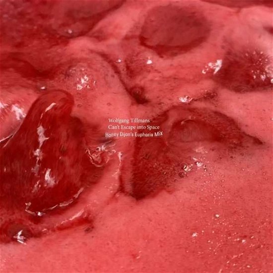Cover for Wolfgang Tillmans · Can't Escape Into Space (LP) (2021)