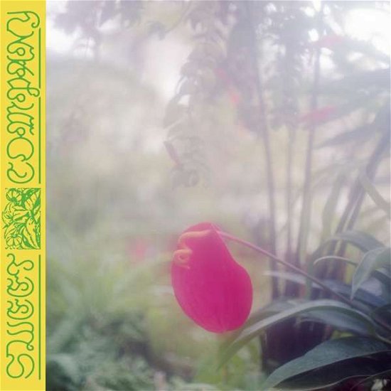 Cover for Jabu · Sweet Company (LP) (2020)