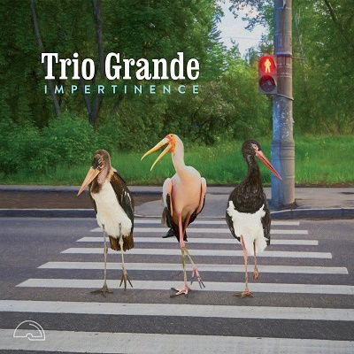 Cover for Trio Grande · Impertinence (CD) (2022)