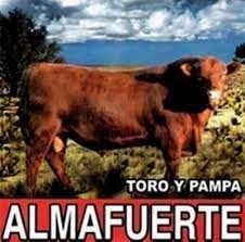 Cover for Almafuerte · Toro Y Pampa (CD) (2014)