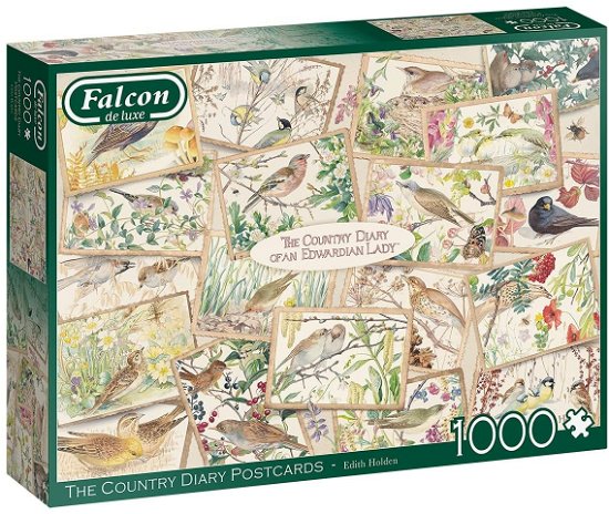 Cover for Falcon · Country Diary Postcards (1000 Stukjes) (Jigsaw Puzzle)