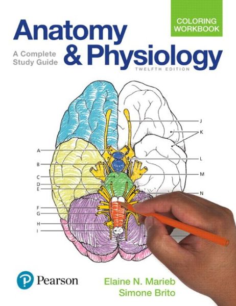 Cover for Elaine N. Marieb · Anatomy and Physiology Coloring Workbook: A Complete Study Guide (Paperback Book) (2017)