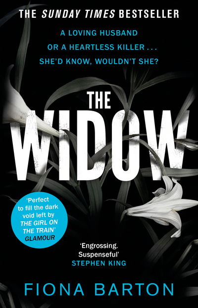 Cover for Fiona Barton · The Widow (Paperback Bog) (2016)