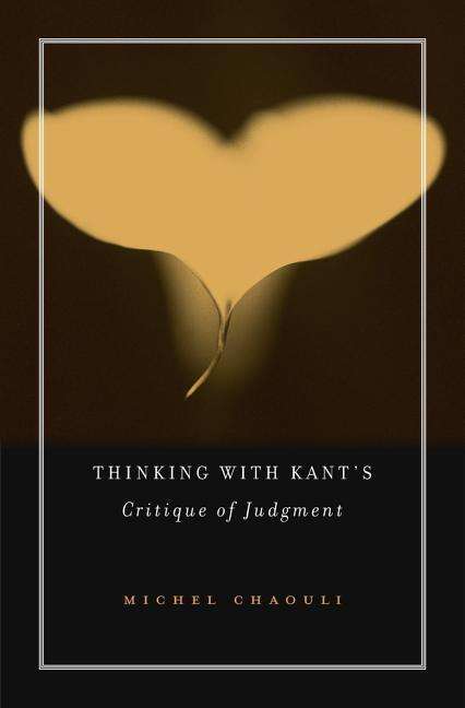 Cover for Michel Chaouli · Thinking with Kant’s Critique of Judgment (Hardcover Book) (2017)