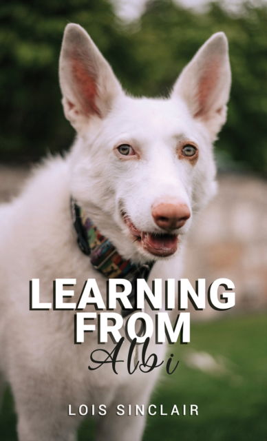 Cover for Lois Sinclair · Learning from Albi (Paperback Book) (2024)