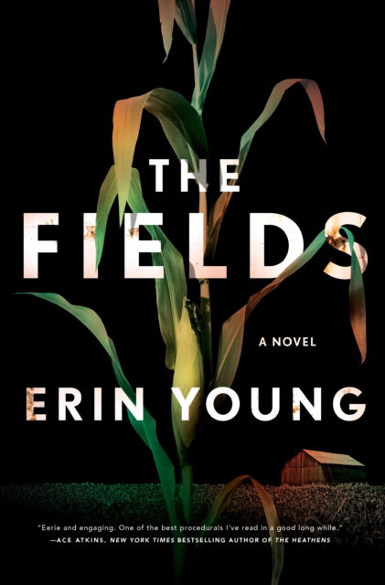 Cover for Erin Young · The Fields: A Novel (Paperback Book) (2022)