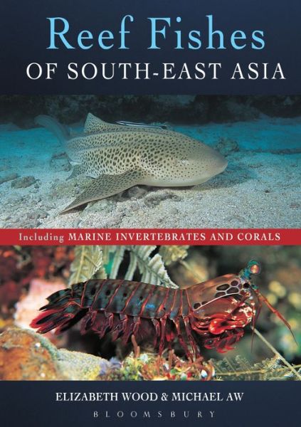 Cover for Elizabeth Wood · Reef Fishes of South-East Asia (Paperback Book) (2019)