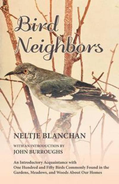 Cover for Neltje Blanchan · Bird Neighbors - An Introductory Acquaintance with One Hundred and Fifty Birds Commonly Found in the Gardens, Meadows, and Woods About Our Homes (Taschenbuch) (2016)