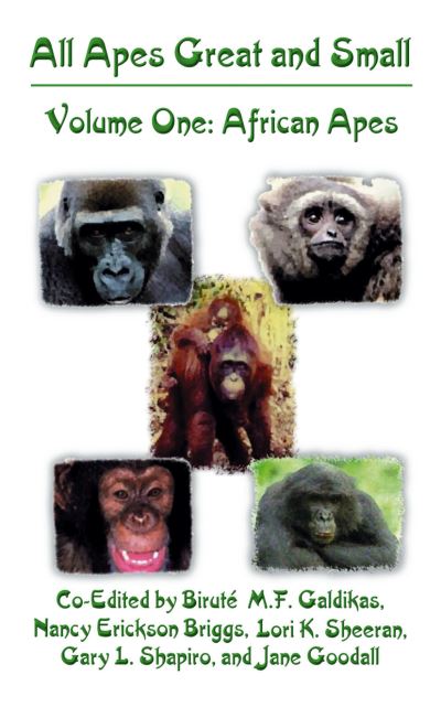 Cover for Birute M F Galdikas · All Apes Great and Small: Volume 1: African Apes - Developments in Primatology: Progress and Prospects (Paperback Book) [Softcover reprint of the original 1st ed. 2002 edition] (2013)