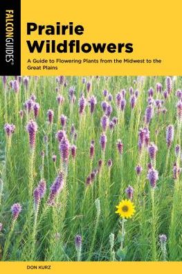 Cover for Don Kurz · Prairie Wildflowers: A Guide to Flowering Plants from the Midwest to the Great Plains - Wildflower Series (Paperback Book) (2019)