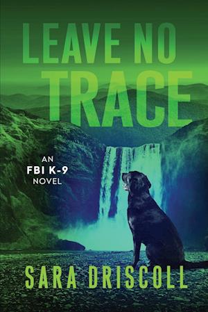 Cover for Sara Driscoll · Leave No Trace (Book) (2024)