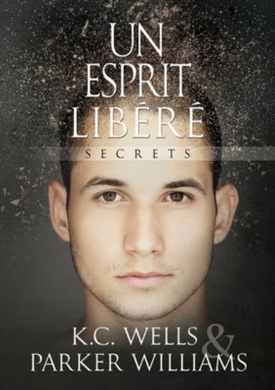 Cover for K.C. Wells · Esprit Libr - Secrets (Pocketbok) [First Edition,First edition] (2019)