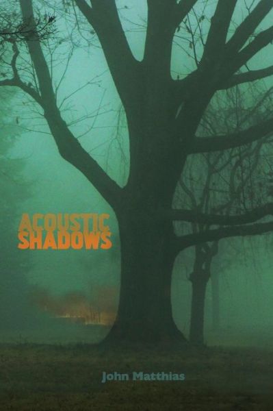 Cover for John Matthias · Acoustic Shadows (Paperback Bog) (2019)