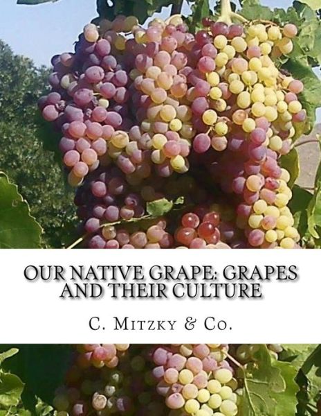 Cover for C Mitzky &amp; Co · Our Native Grape (Paperback Book) (2018)