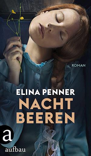 Cover for Elina Penner · Nachtbeeren (Hardcover Book) (2022)