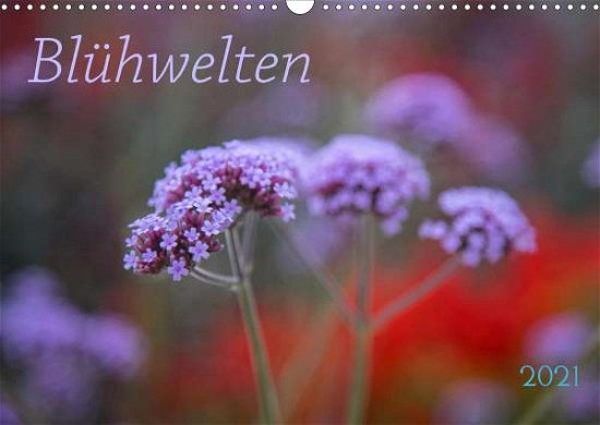 Blühwelten (Wandkalender 2021 D - Taubert - Books -  - 9783672419363 - 
