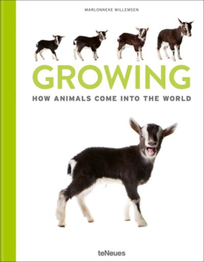 Cover for Marlonneke Willemsen · Growing: How animals come into our world (Hardcover Book) (2021)