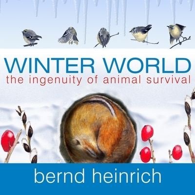 Cover for Bernd Heinrich · Winter World (CD) (2009)