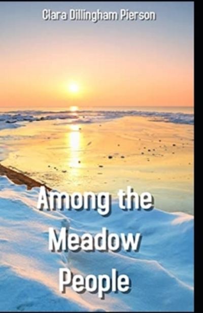 Among the Meadow People Illustrated - Clara Dillingham Pierson - Books - Independently Published - 9798595789363 - January 16, 2021