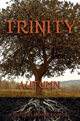 Cover for Lauren Patzer · Trinity (Pocketbok) (2021)