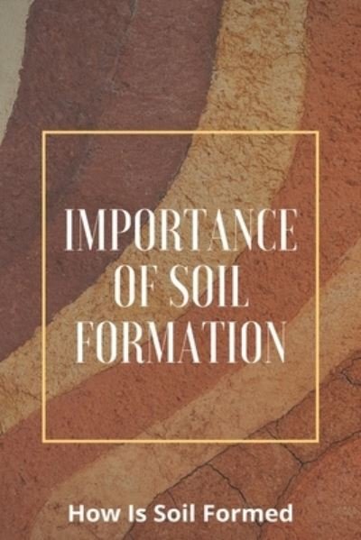 Cover for Rico Siefkes · Importance Of Soil Formation (Paperback Bog) (2021)