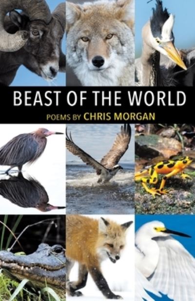 Cover for Chris Morgan · Beast of the World (Bok) (2023)