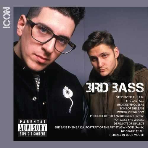 Cover for 3rd Bass · Icon (CD) (2015)