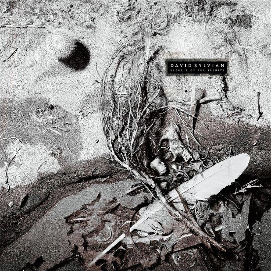 Cover for David Sylvian · Secrets of the Beehive (LP) (2019)